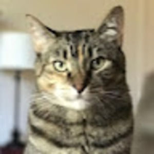 Meet your Posher, Wendy